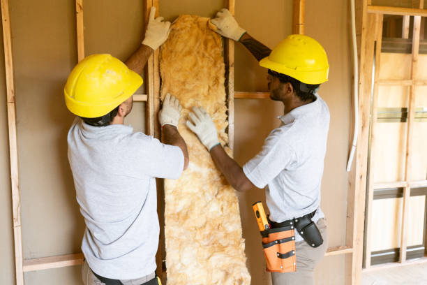 Types of Insulation We Offer in Lake Heritage, PA